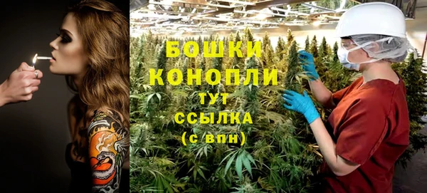 сатива Ладушкин