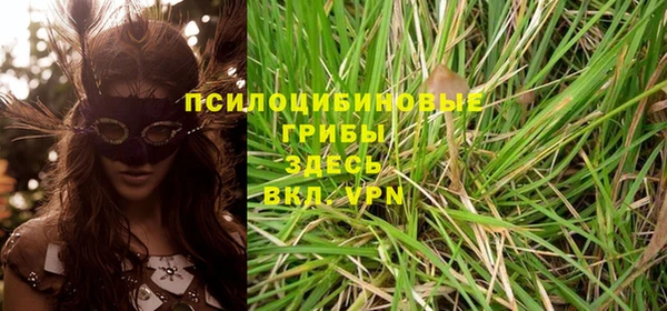 молекула духа Лагань