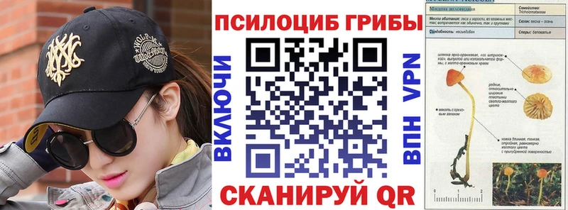 Псилоцибиновые грибы Cubensis  где продают   mega зеркало  Черепаново 